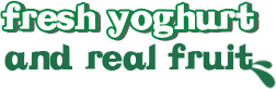 Fresh yoghurt and real Fresh 'n Fruity yoghurt text image 252x82